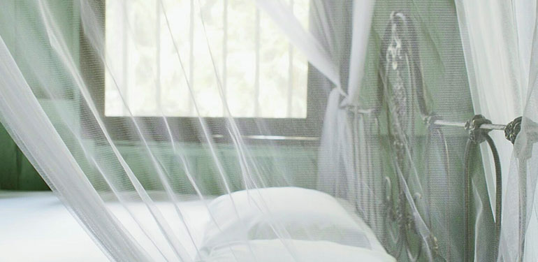 A bed with a mosquito net above it.